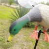 Electric Duck Decoy Spinning Wing Motion Duck Decoy Battery Powered Decoy Smoother Quieter Remote Controller Mallard Ducks For
